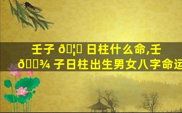 壬子 🦉 日柱什么命,壬 🌾 子日柱出生男女八字命运